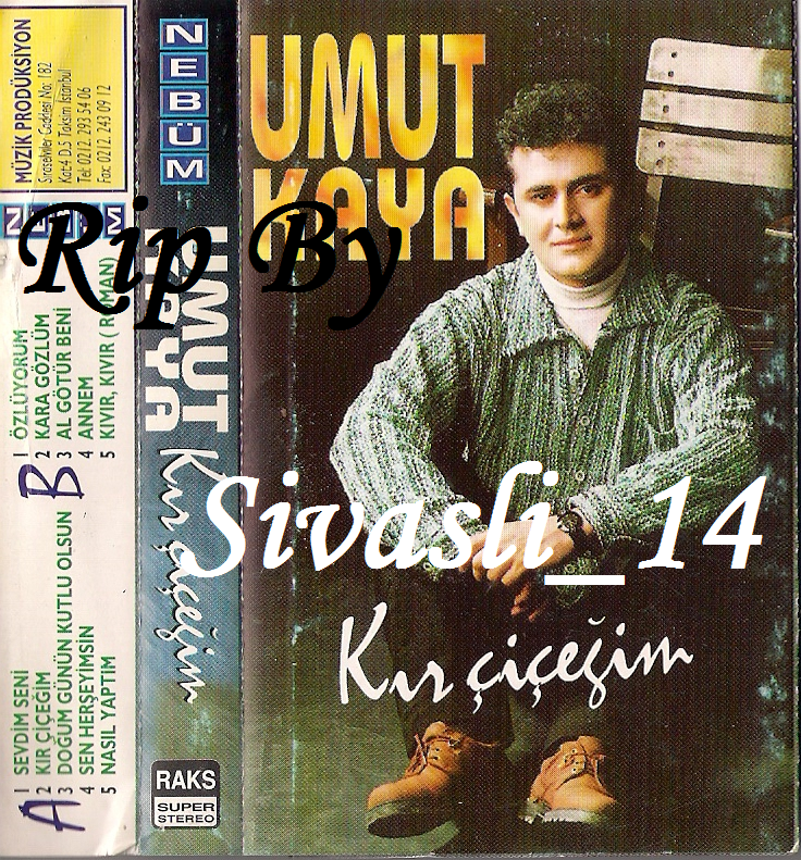 Resim
