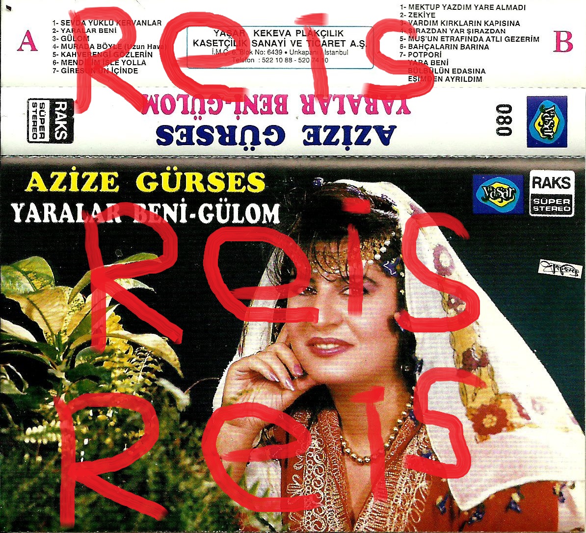 Resim