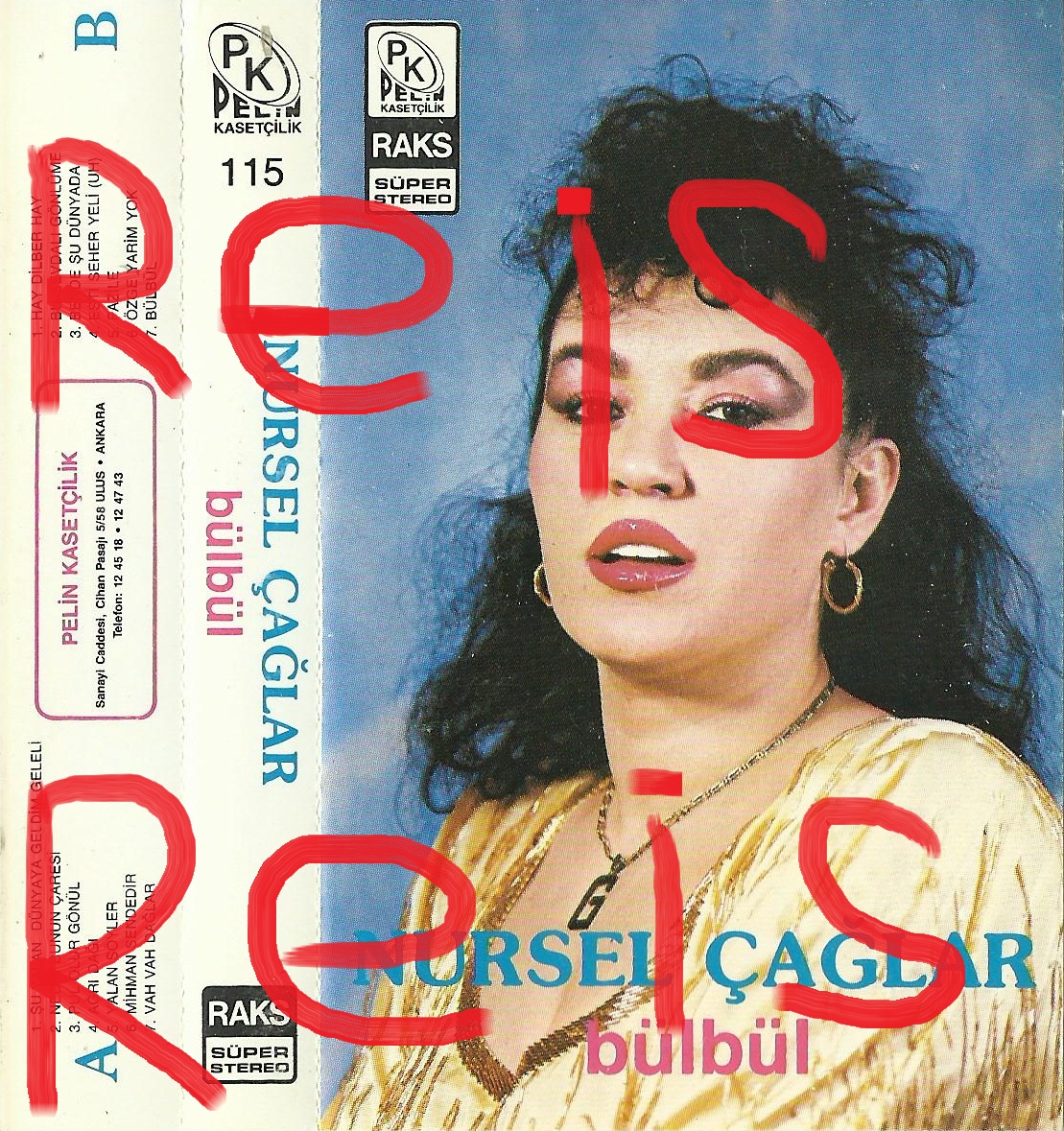 Resim