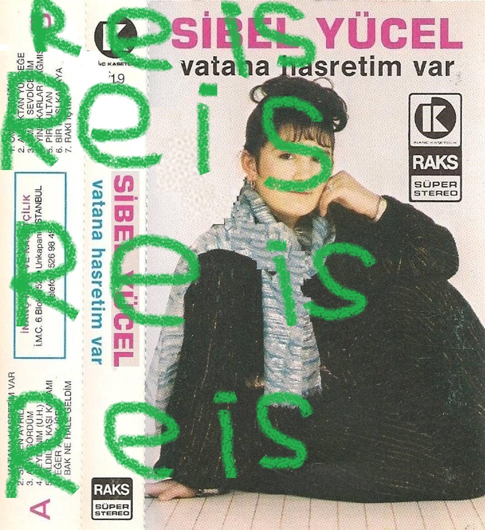 Resim
