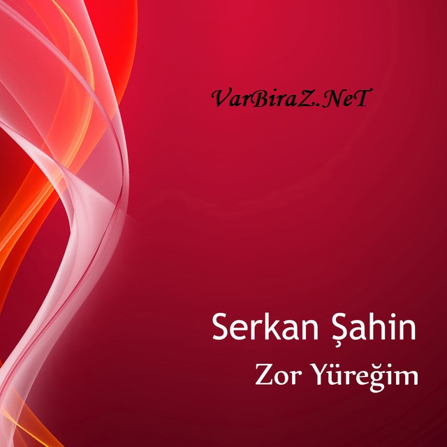 Resim