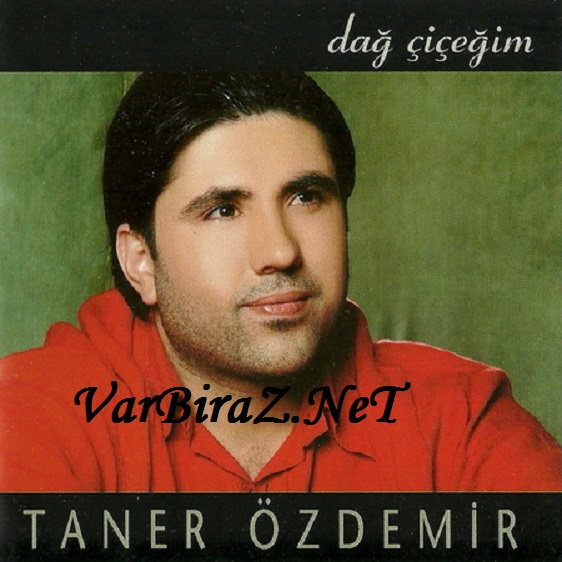 Resim