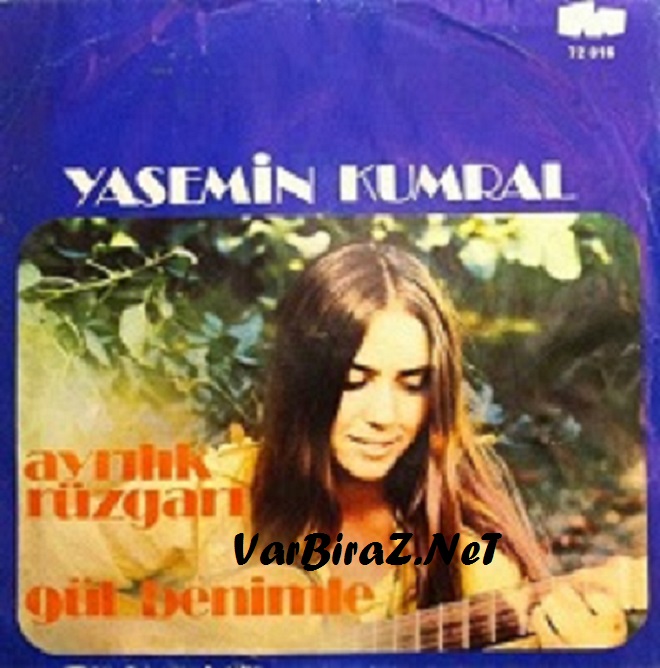 Resim