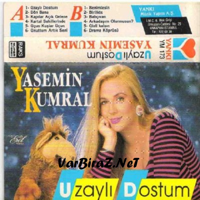 Resim