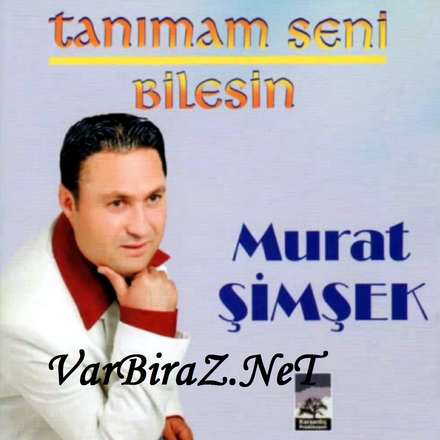 Resim