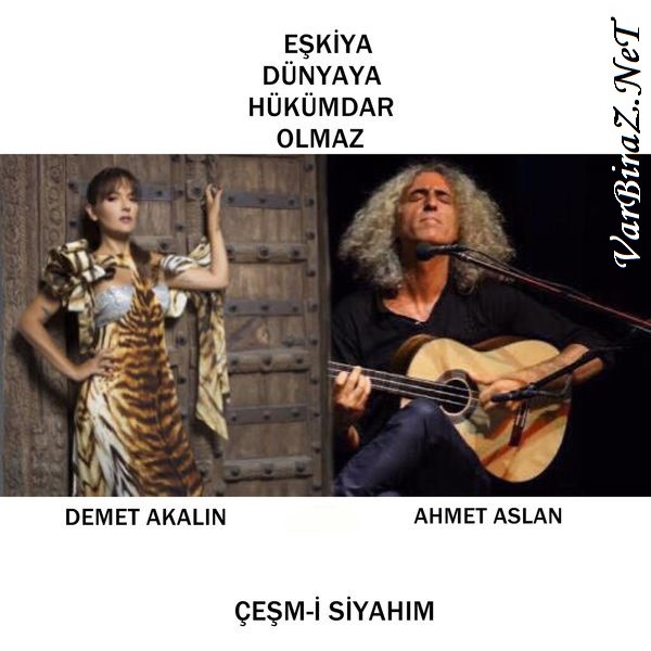 Resim